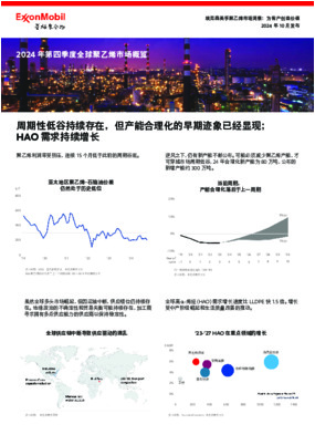 2024 年第四季度全球聚乙烯行业回顾和 Signature Polymers 简介